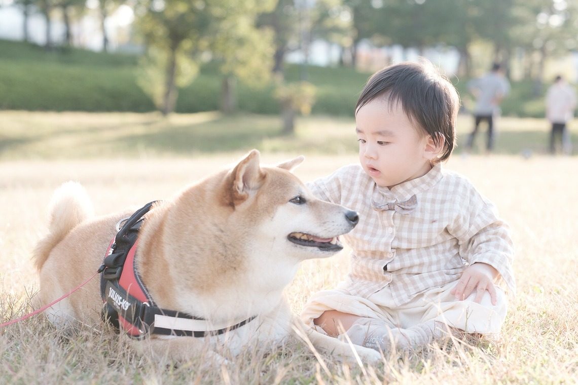 高夏写真店が出張撮影した家族写真(キッズ,ベビーフォト)などが写った「家族写真の撮影」の家族写真