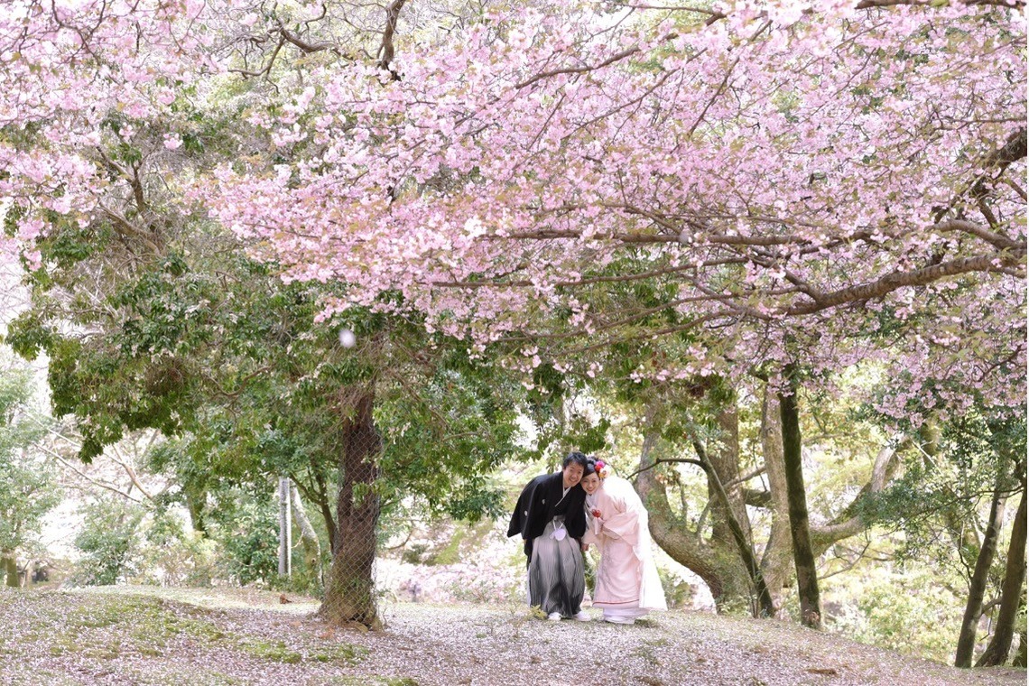 キキフォトワークスが撮影した「桜の季節の和装前撮り」の写真