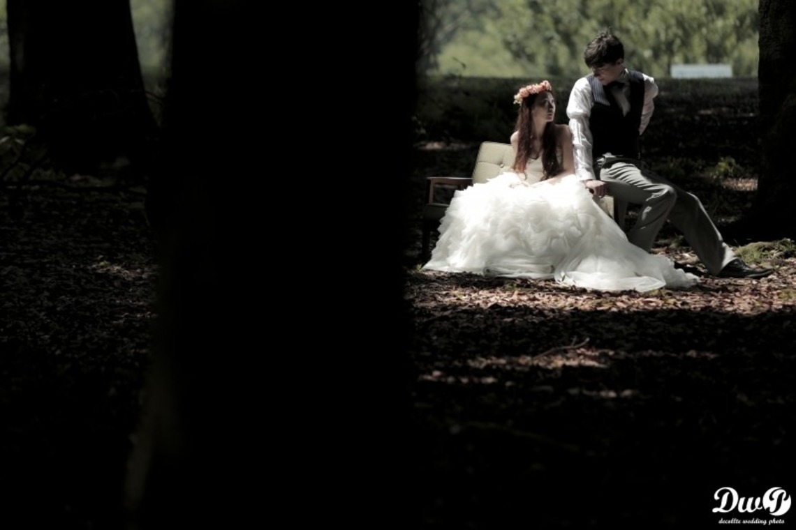 STUDIO Giroux (水間寿也)が撮影した「フォトギャラリー」の写真