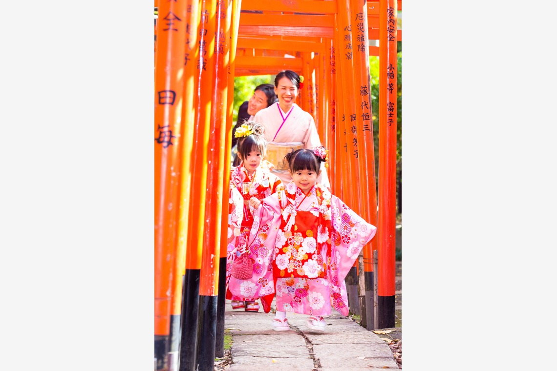Kan Suzuki  photographyが撮影した写真のアルバム「根津神社」