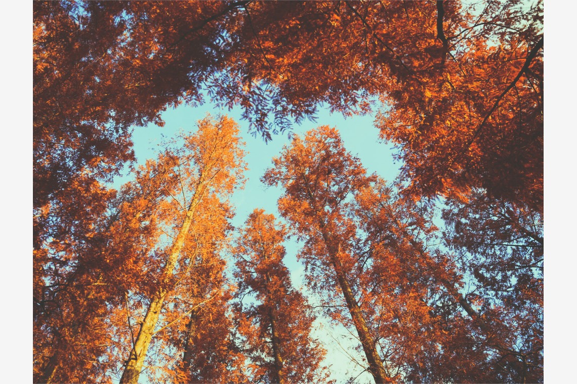 いんかが撮影した写真のアルバム「風景.a」