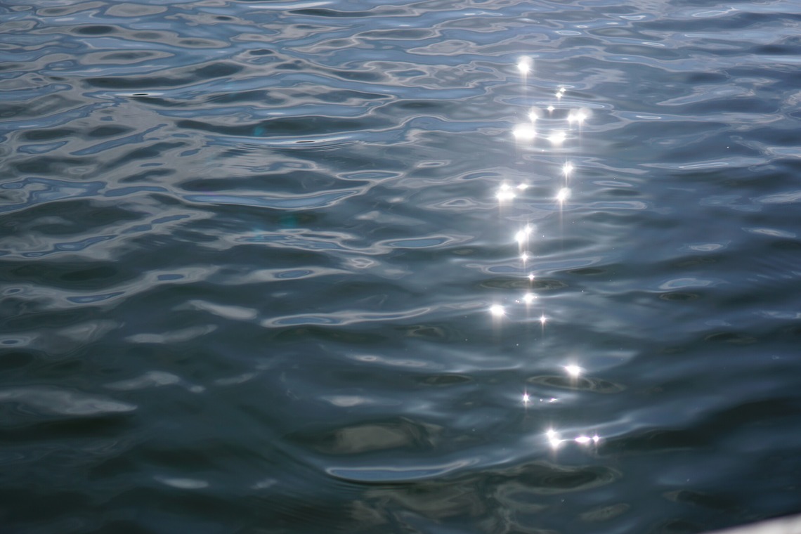 出張撮影のメモリーズが撮影した「nature-アラカルト」の写真