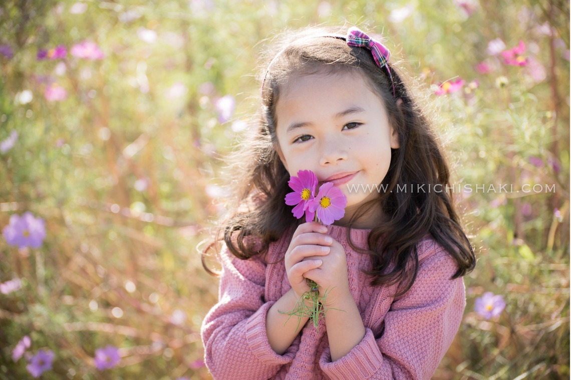 MC-photoが撮影した写真のアルバム「2016_Nov_江戸川区」