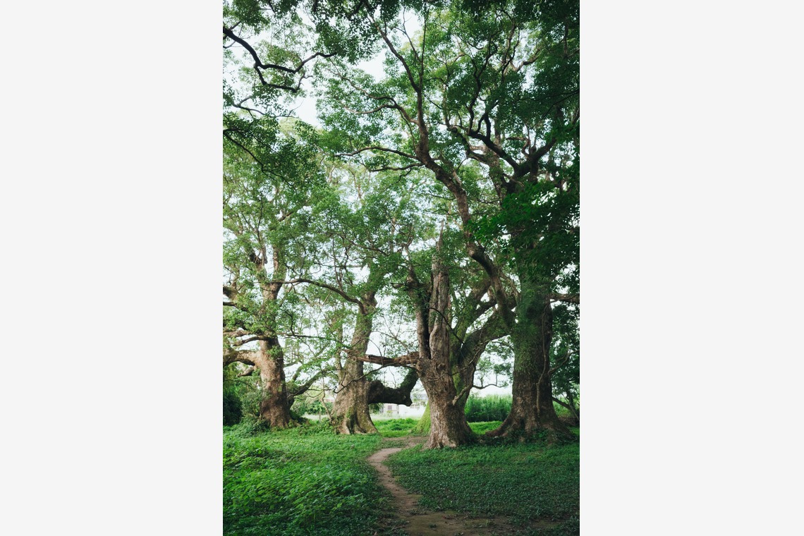大坪幹武が撮影した写真のアルバム「風景写真」