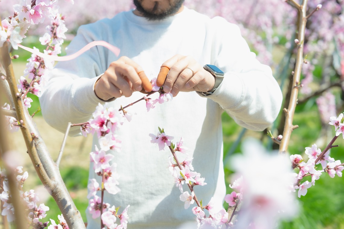umimoyamamoworksが撮影した写真のアルバム「農家さん取材写真」
