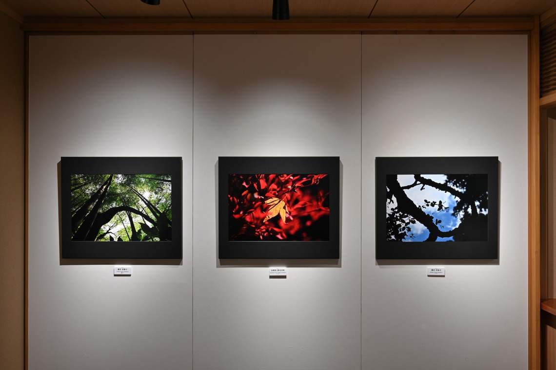 あまかど スタジオが撮影した「内装・文化空間の写真撮影」の写真