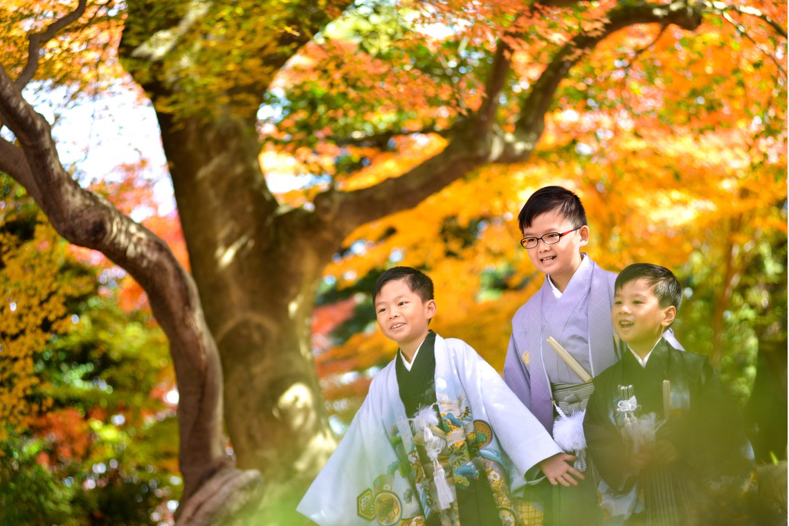 ProPhotos Japanが撮影した「秋の着物フォト」の写真