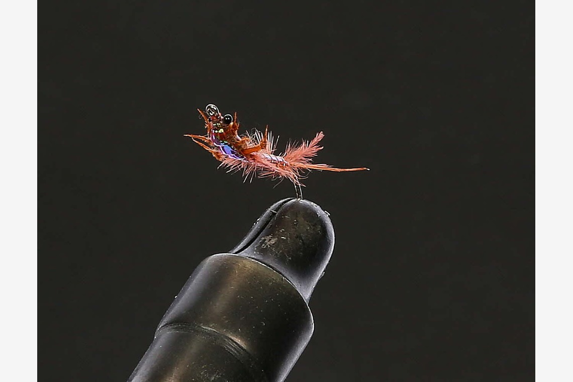 赤木写真事務所（代表　赤木武博）