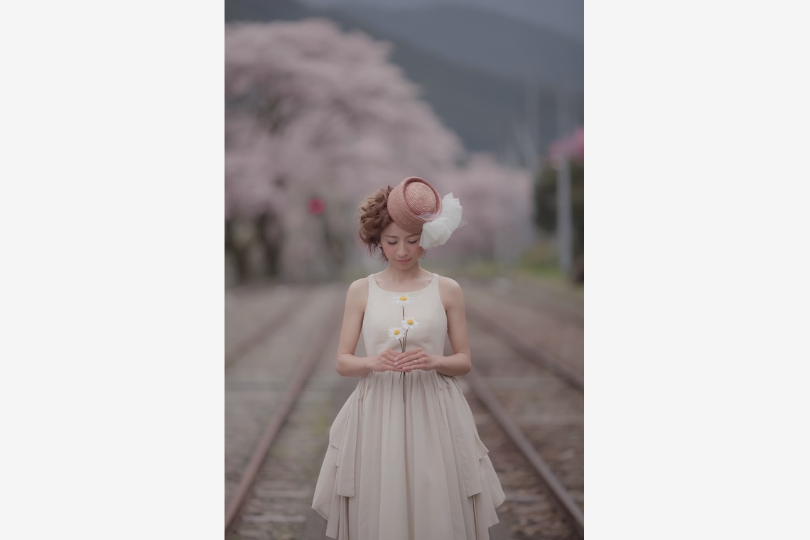  グラフィーズが撮影した写真のアルバム「桜」