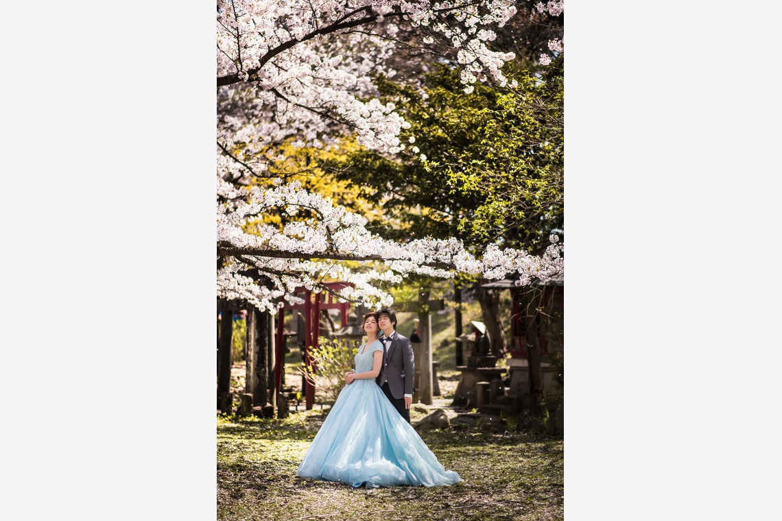 My Style Garden Studio が撮影した写真のアルバム「桜」
