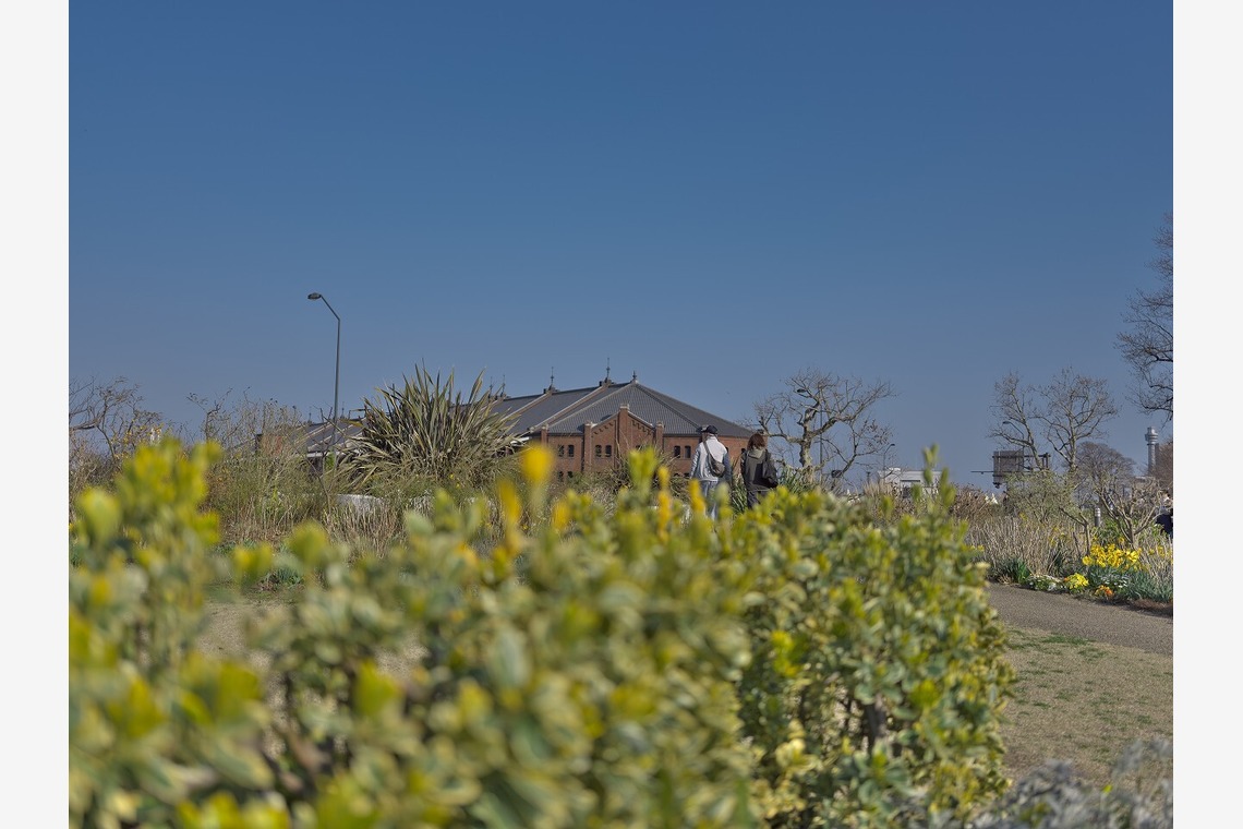 Mid-Village Studioが撮影した写真のアルバム「横浜MM21」