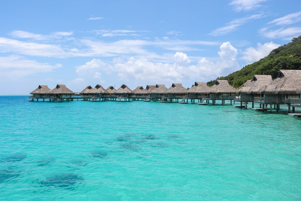 藤井が撮影した写真のアルバム「タヒチ」