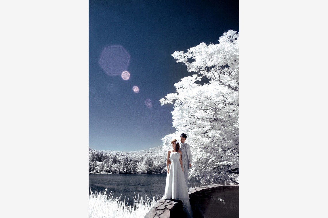 RANMARU  STYLEが撮影した「フォトギャラリー」の写真