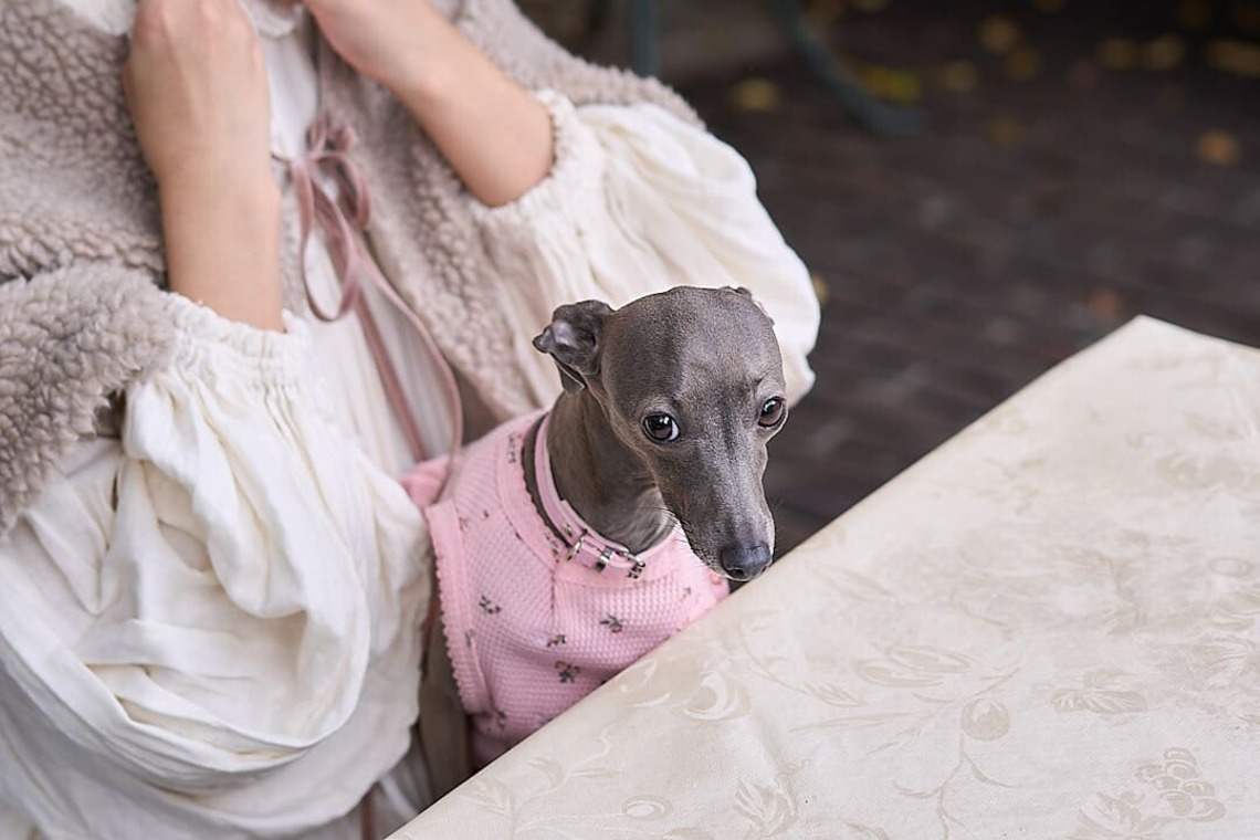 Actが撮影した写真のアルバム「愛犬とのカップルフォト」