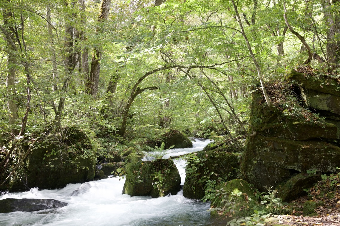 TATEZOUが撮影した写真のアルバム「風景写真」