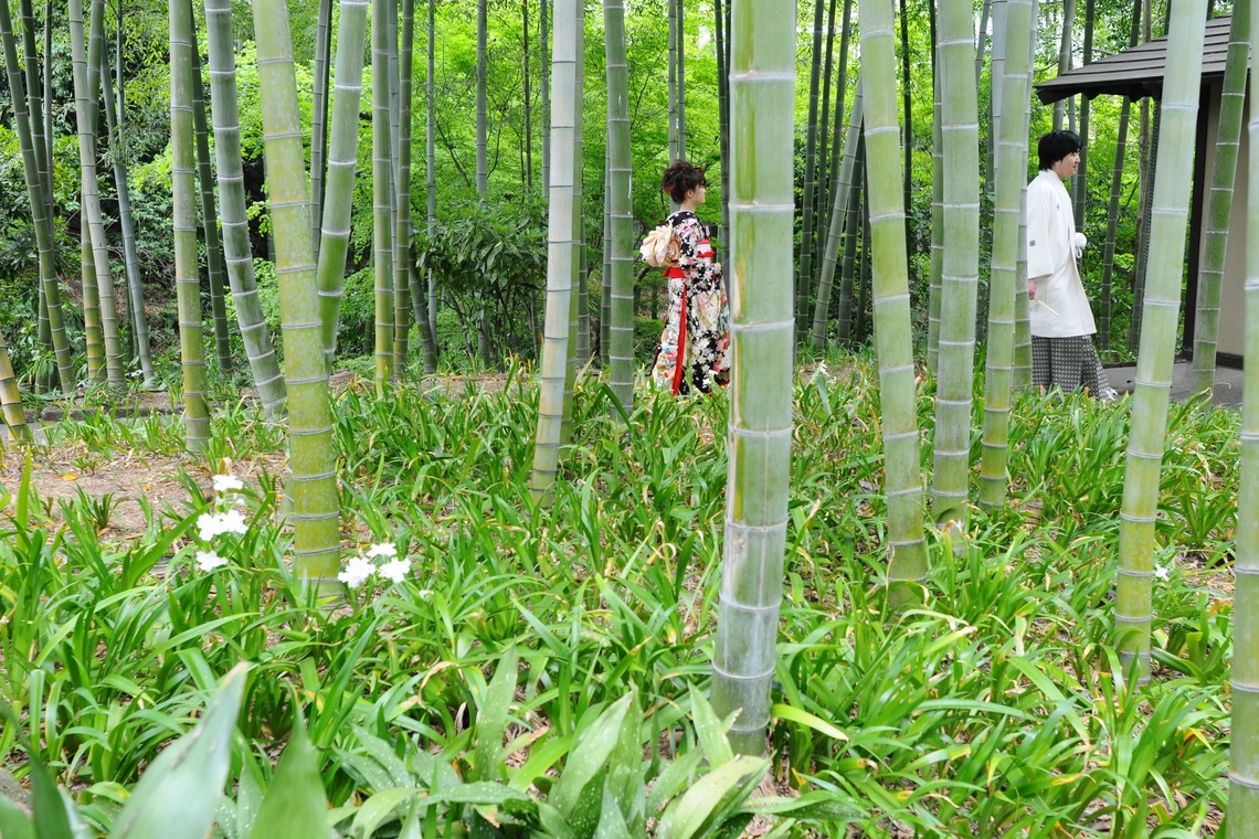 namograph (金森広治)が撮影した「ロケーションフォト」の写真