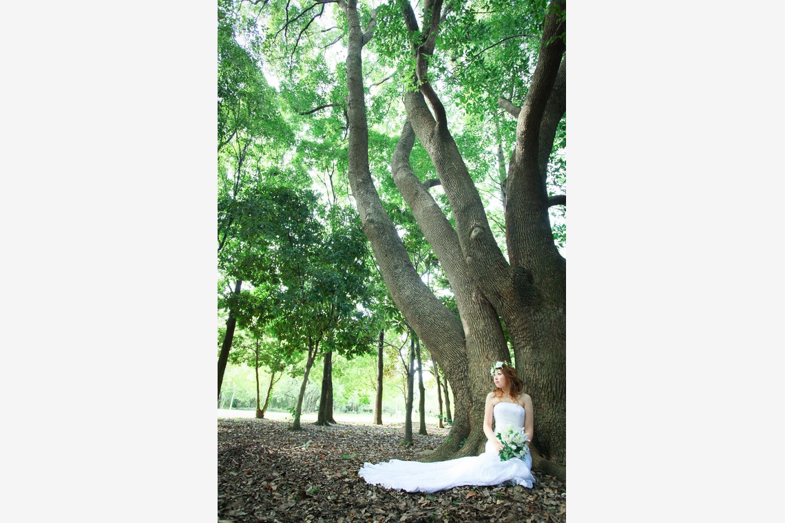 Photo of  taken by WEDDING AVENUE