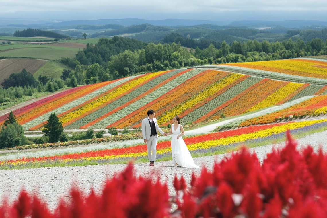 Photo of Furano/Biei location photo wedding taken by uno e creative act.