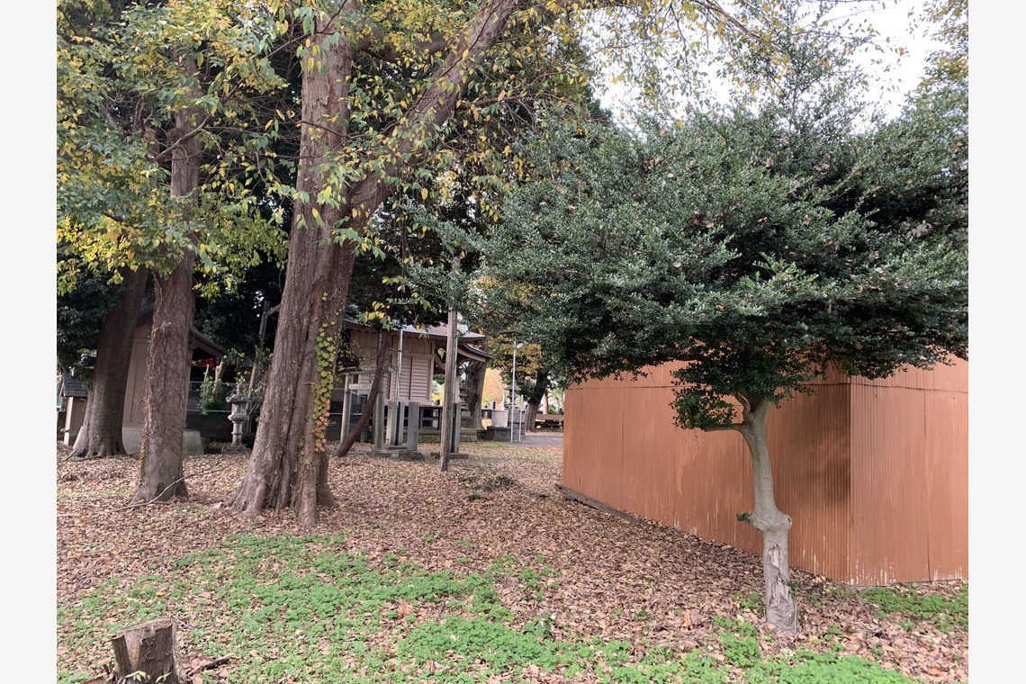 合同会社Joy Stormが撮影した写真のアルバム「物件撮影」