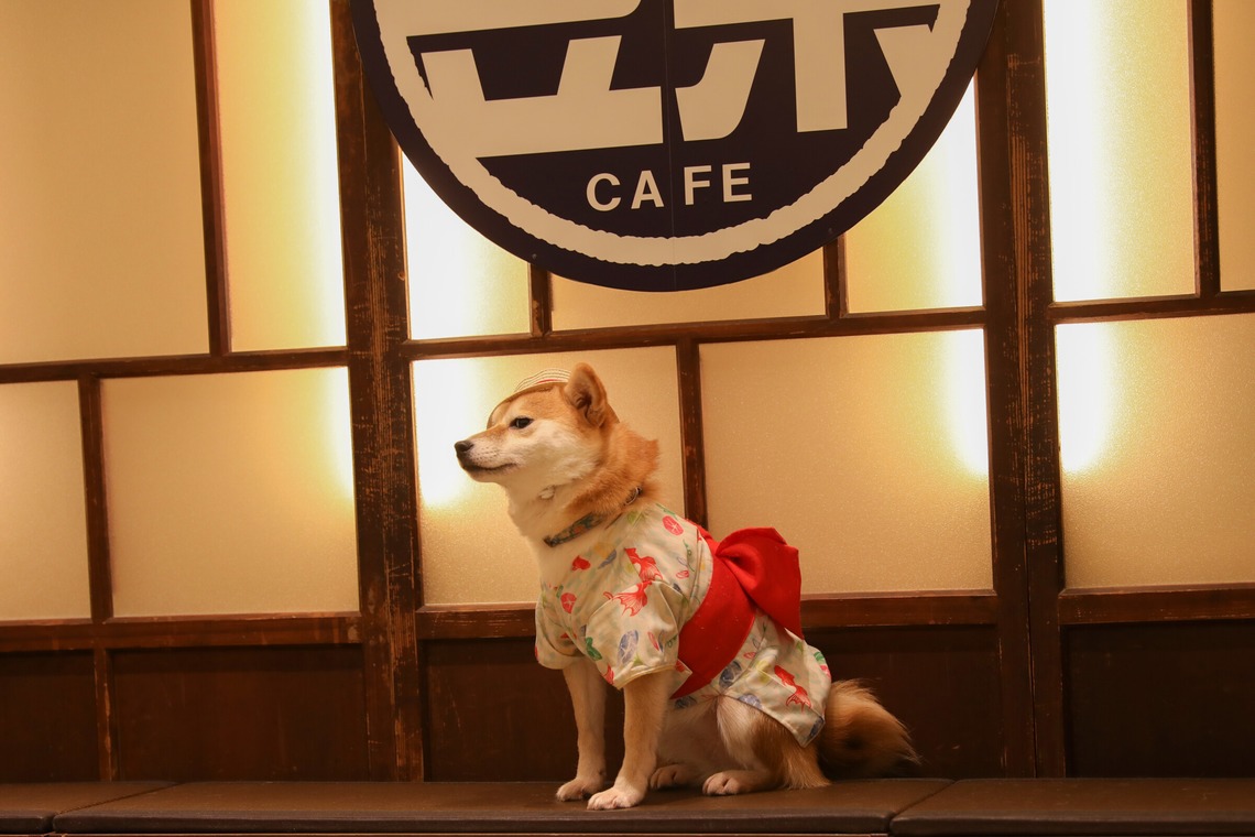 松見　翠