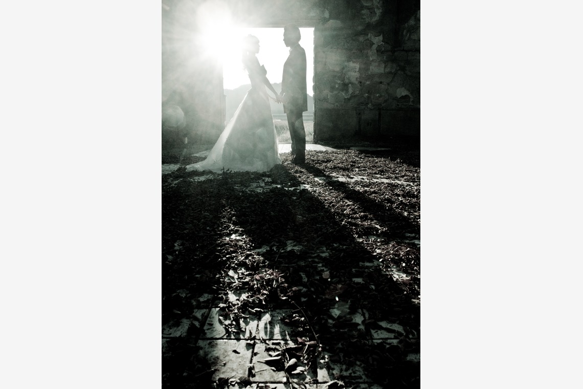 株式会社Def.proが撮影した「フォトギャラリー」の写真