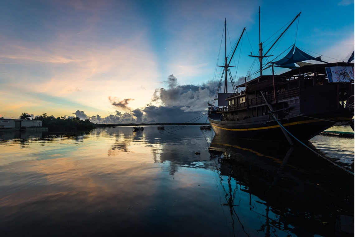 リトルダイナソーが撮影した「風景」の写真