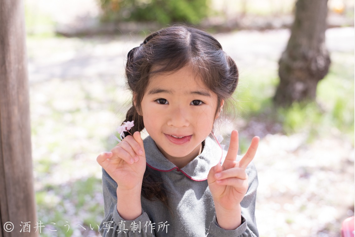 酒井こうへい写真製作所が撮影した写真のアルバム「入学式・桜」