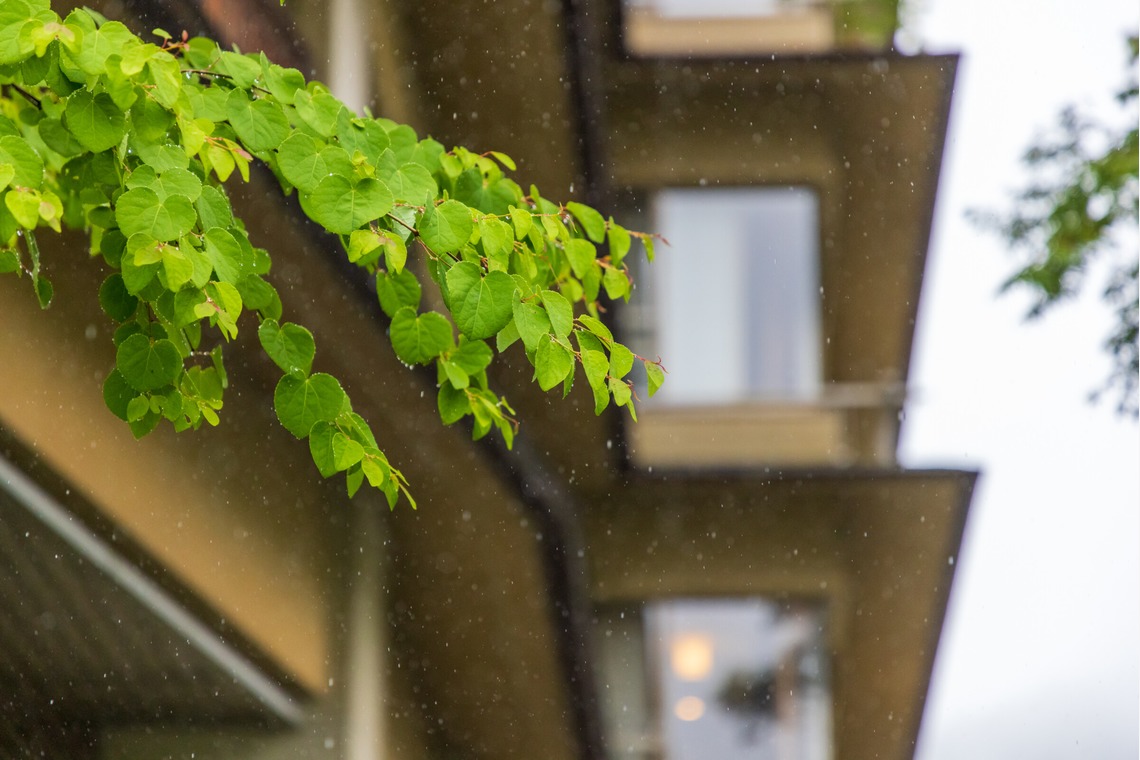 フォトオフィス　ルミエが撮影した「毎月のホテルの撮影」の写真