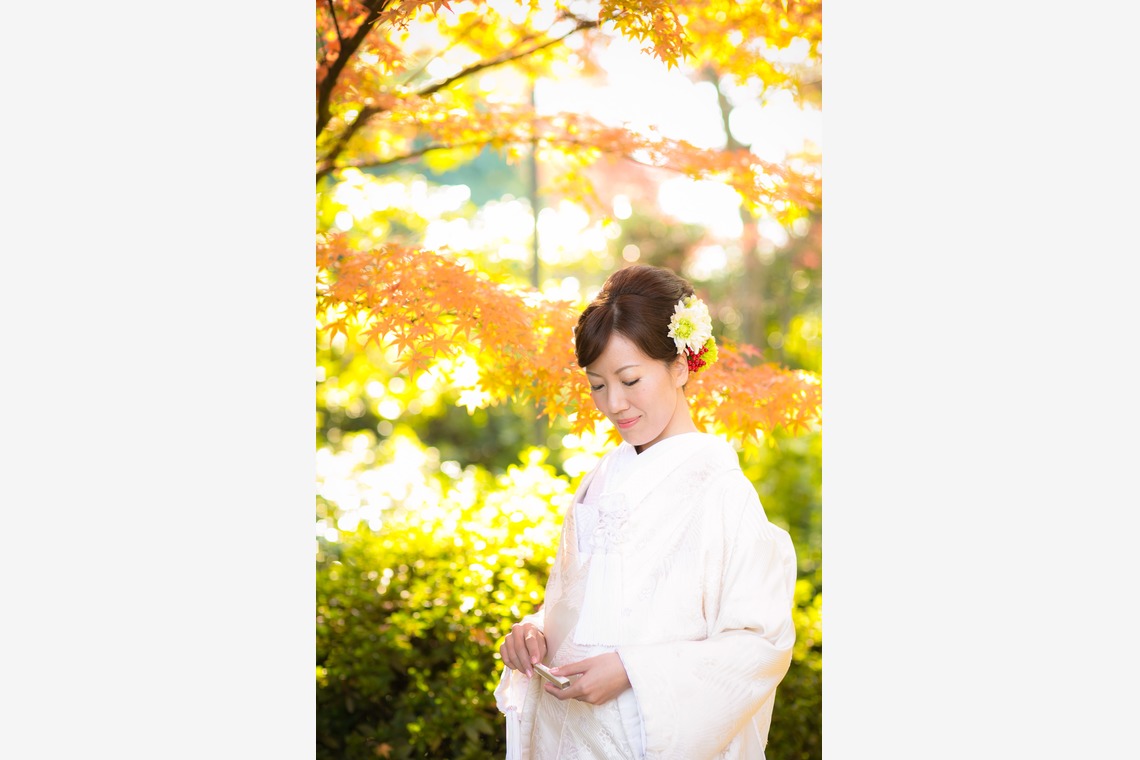 studio zeroが撮影した「大阪」の写真