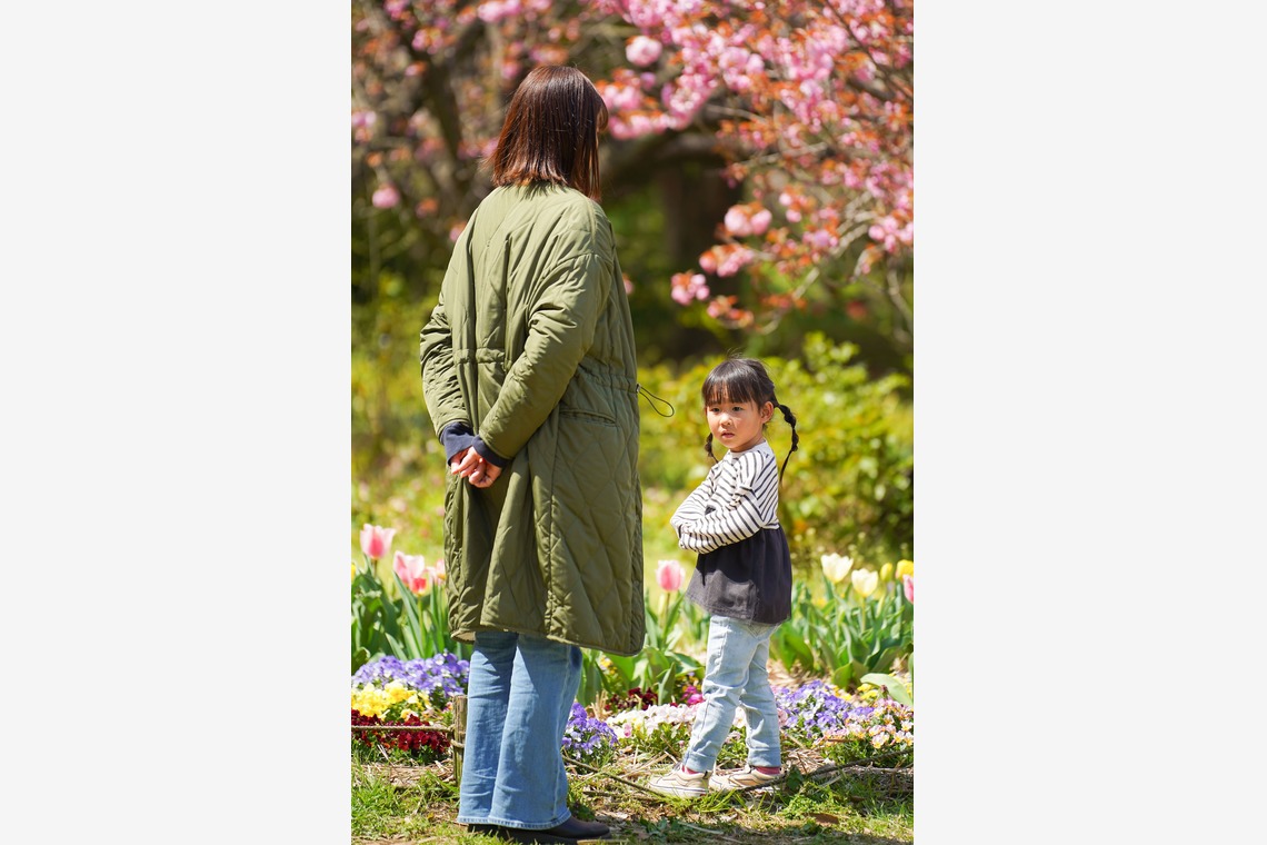 スタジオ　まるが撮影した写真のアルバム「小学1年生進級フォト」