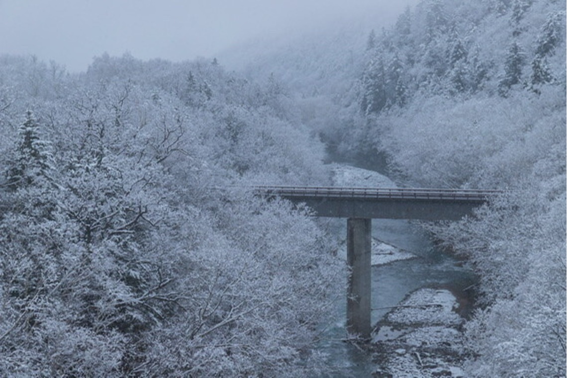 芳賀 翔大が撮影した写真のアルバム「北海道」