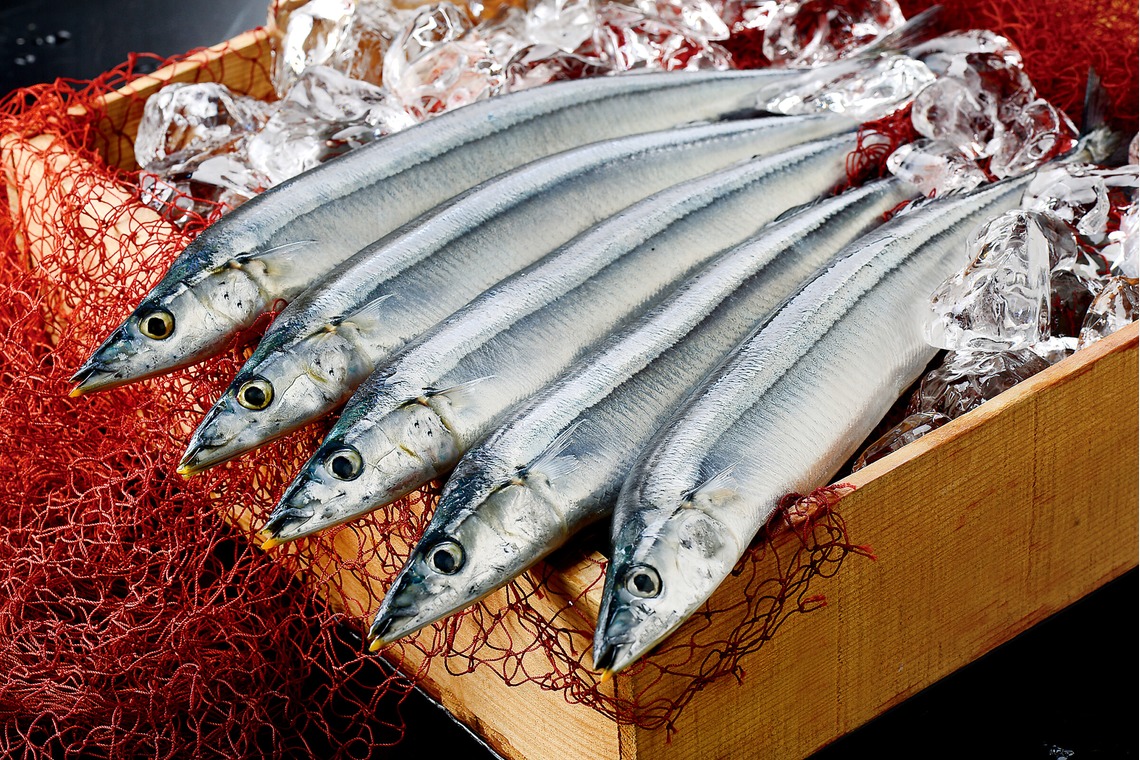 泉田真人が撮影した「料理・店舗メニュー撮影」の写真