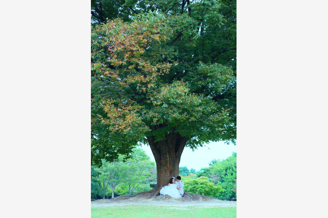 Photo of  taken by WEDDING AVENUE