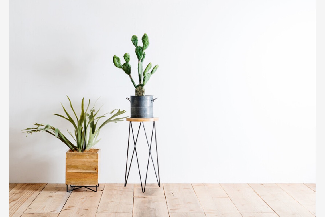 Yoppegraphy Photographic Serviceが撮影した「商品　雑貨」の写真