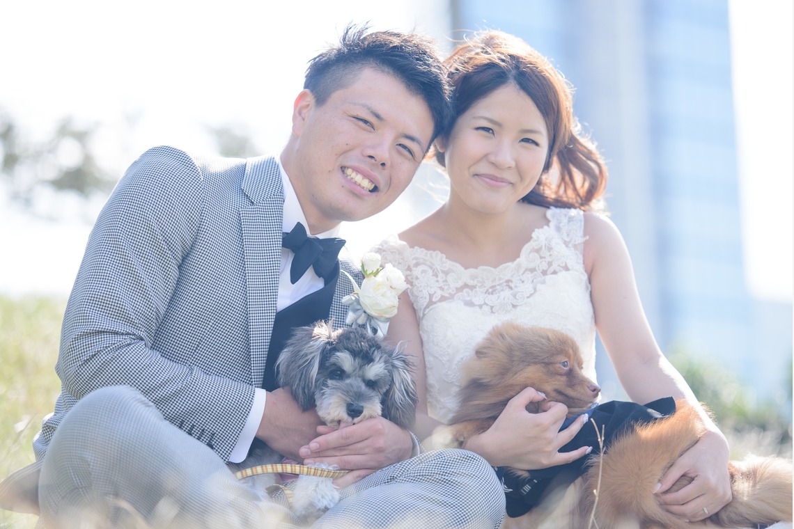 ドラマティックフィルム（島本 浩明）が撮影した「フォトギャラリー」の写真