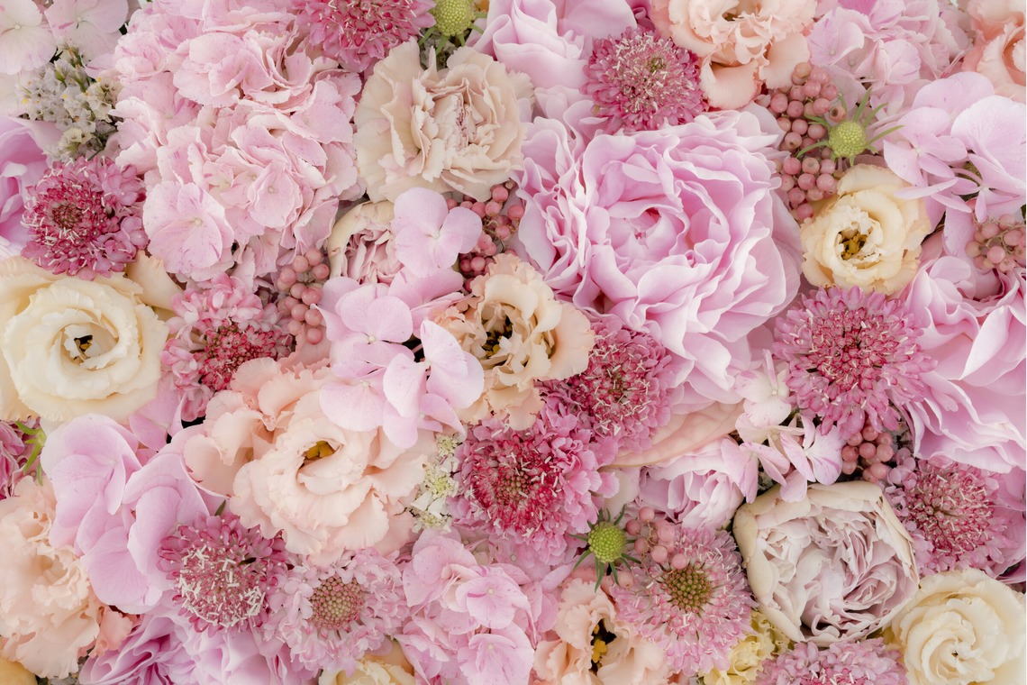 佐藤 葵が撮影した「広報用商品撮影」の写真