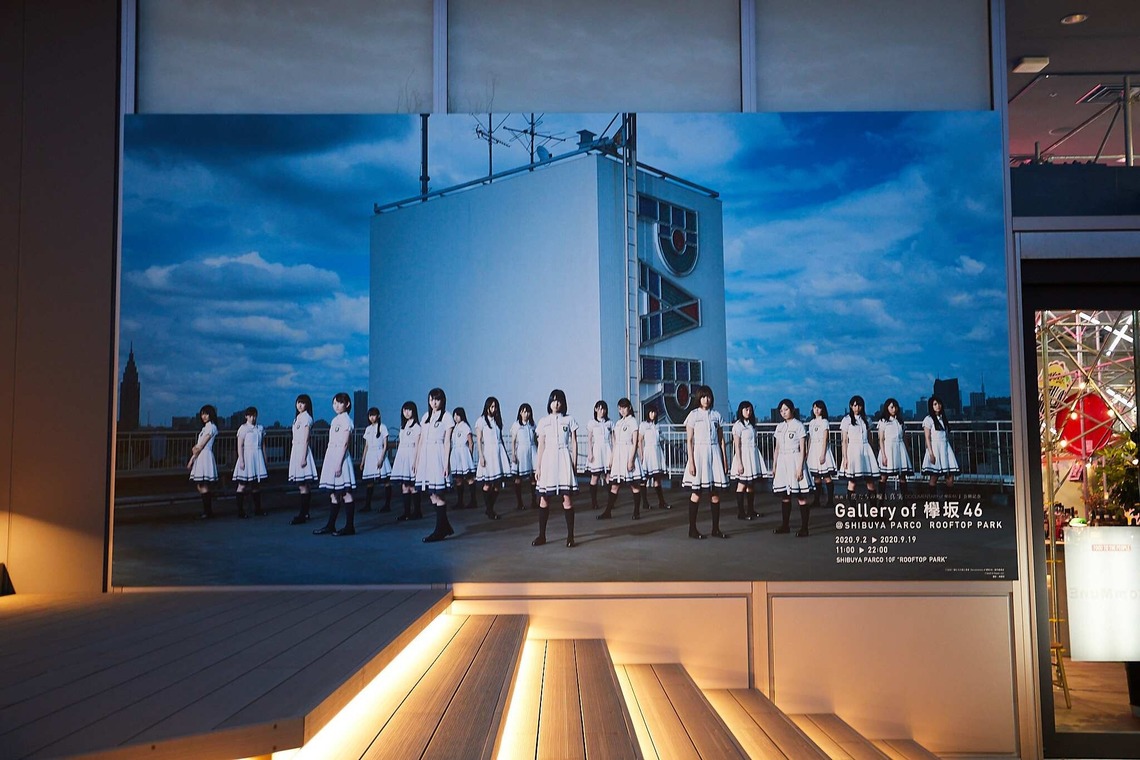 稲葉幸辰が撮影した写真のアルバム「夜空に輝く欅坂46」