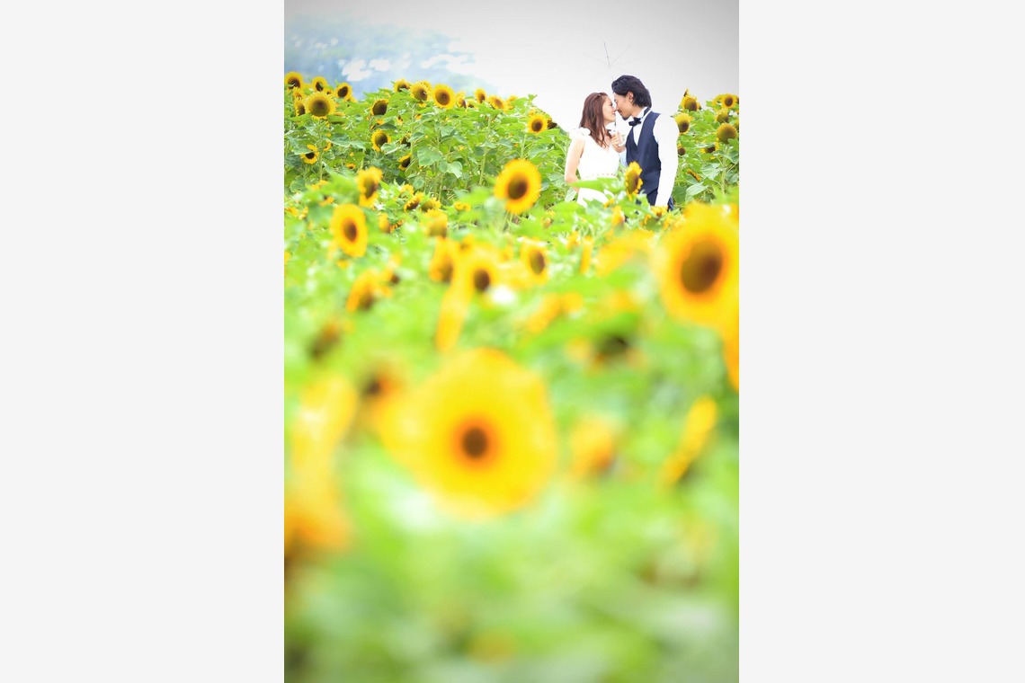 Studio TVB (スタジオtvb)が撮影した「ロケーションフォト」の写真