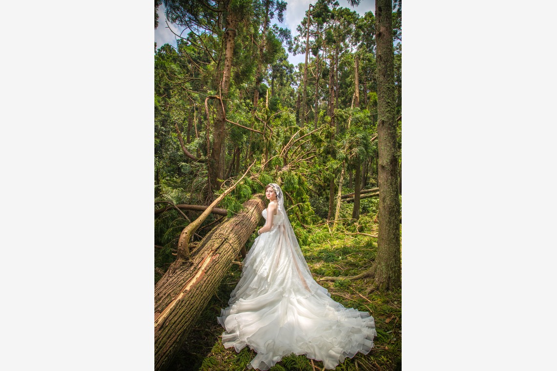 Photo of Taiwan taken by Dajay Photography