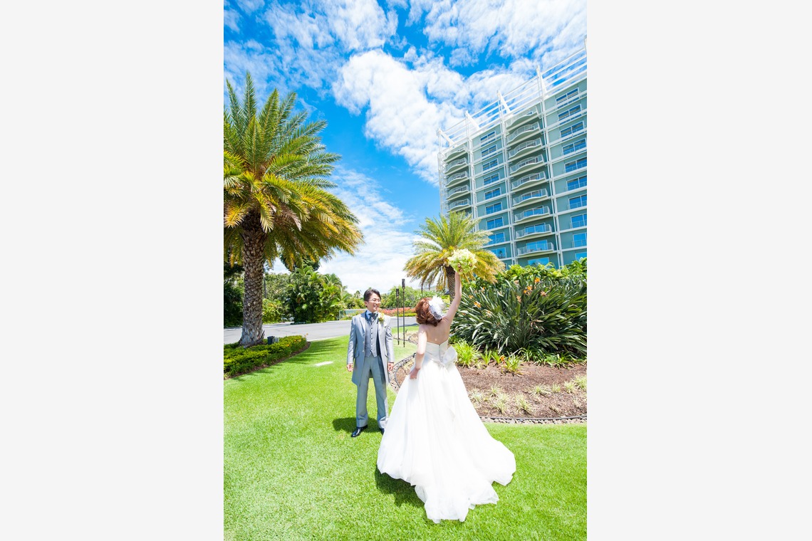 Photo of  taken by bird and insect ltd.