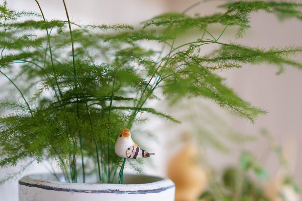 出張撮影のメモリーズが撮影した「宣材-アラカルト」の写真