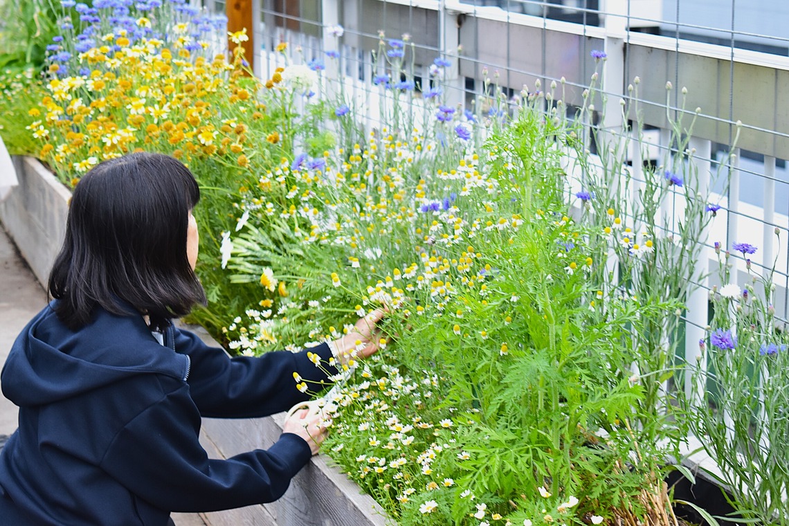 和香葉が撮影した写真のアルバム「ブーケ作りワークショップ 取材撮影」