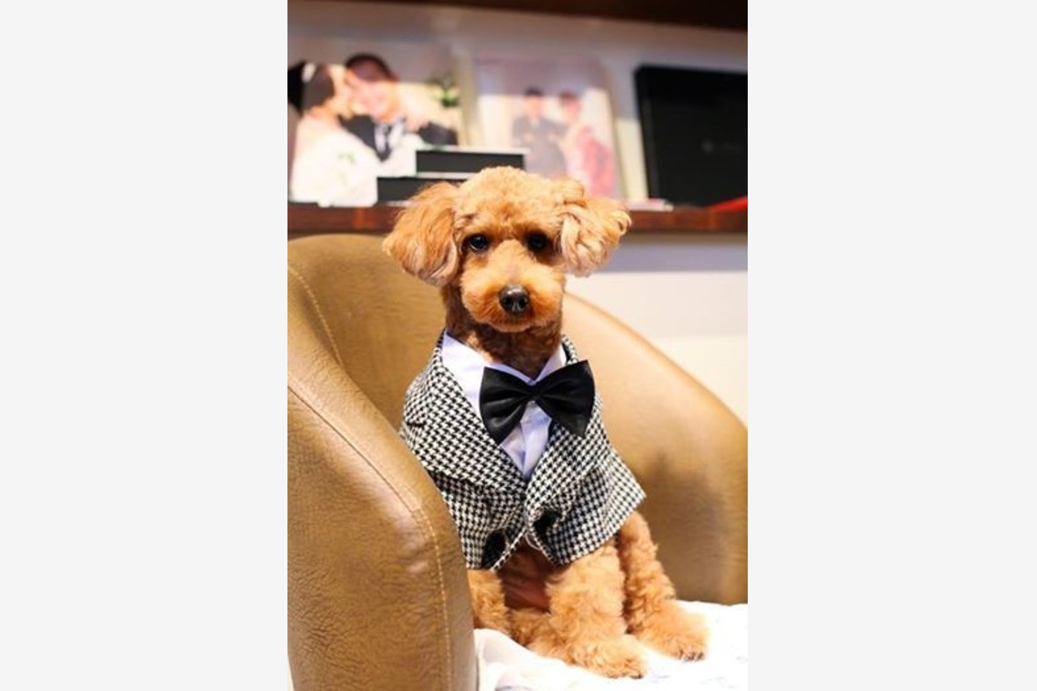 ウェディングアベニューが撮影した「アトリエスタジオ　洋装」の写真