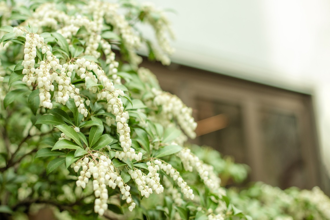 木村　智が撮影した「」の写真