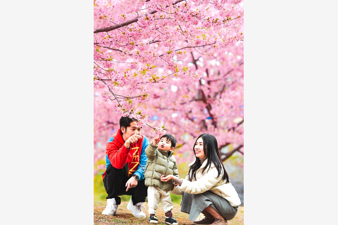 関根麻砂也が撮影した写真のアルバム「ファミリーフォト」