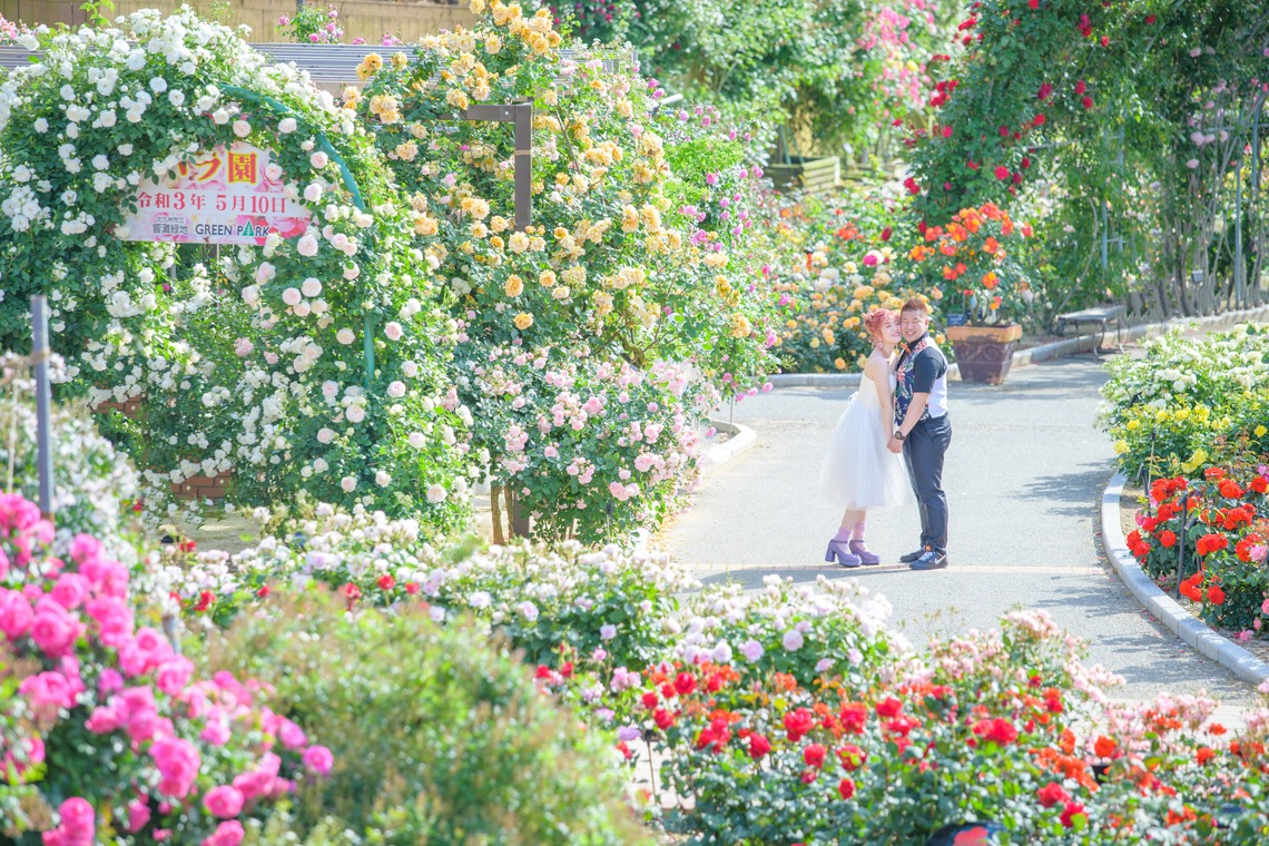 Studio IKKENが撮影した「ドレス前撮り」の写真