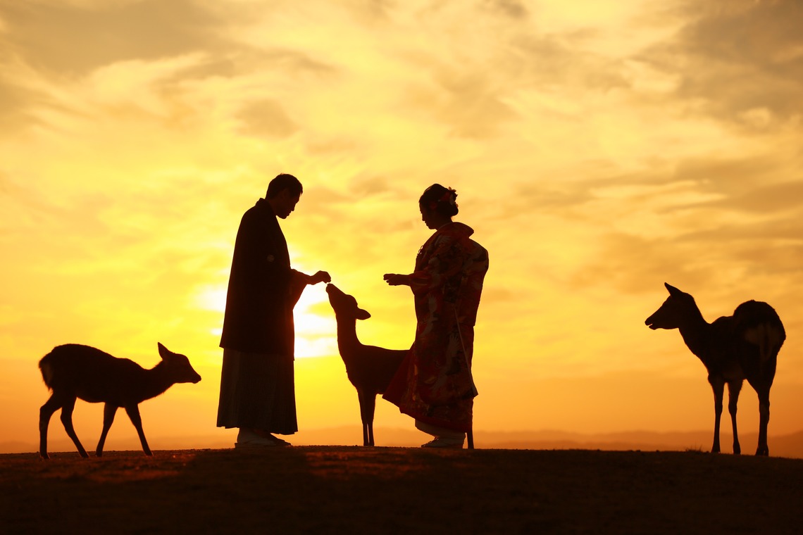 Photo of  taken by Hayashi Photo Works