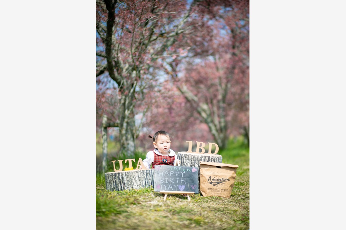 酒井大輔が撮影した写真のアルバム「七五三撮影、家族写真」