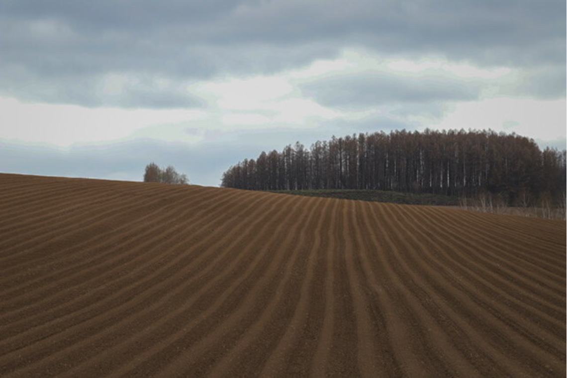 芳賀 翔大が撮影した「北海道」の写真