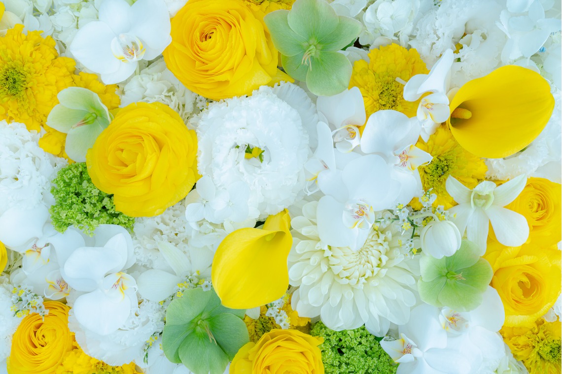 佐藤 葵が撮影した写真のアルバム「広報用商品撮影」